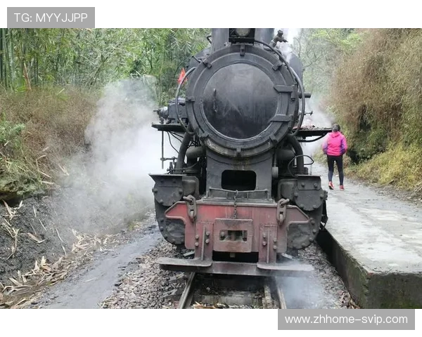 《雪地求生记挑战极限生存火车如何突破无法启动难题》